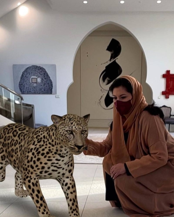 الهيئة الملكية لمحافظة العلا تحتفي بيوم النمر&nbsp;العربي